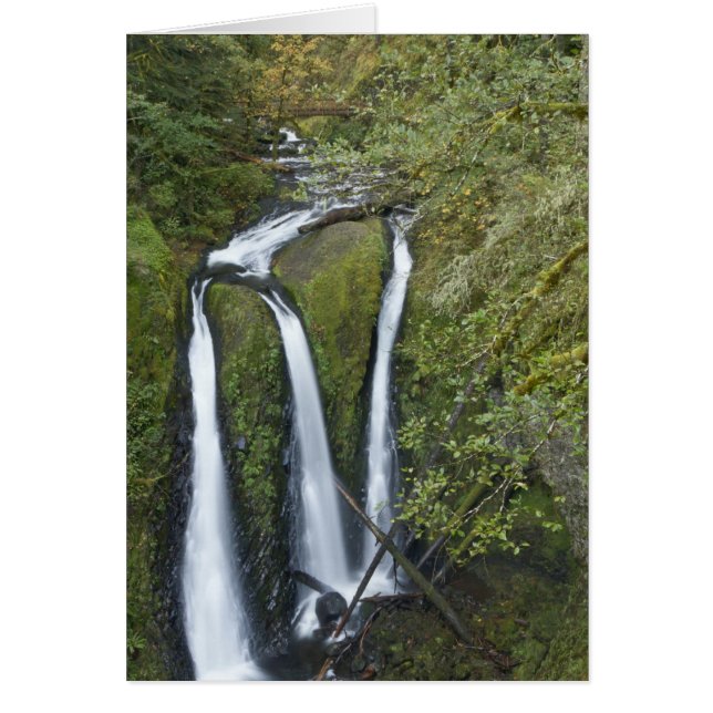 Triple Falls, Columbia River Gorge (Vorne)