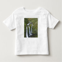 Triple Falls, Columbia River Gorge