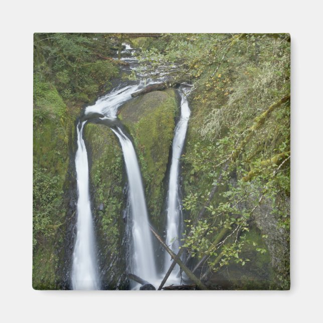 Triple Falls, Columbia River Gorge Magnet (Vorne)