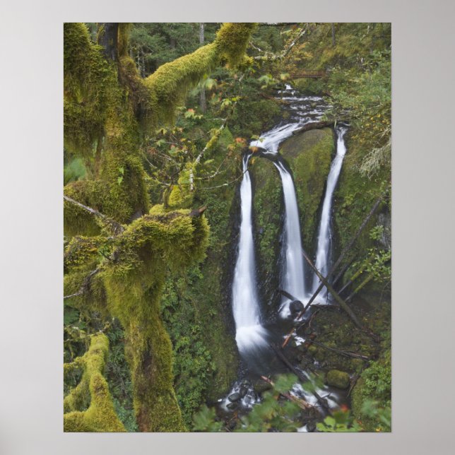 Triple Falls, Columbia River Gorge Poster (Vorne)