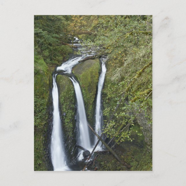 Triple Falls, Columbia River Gorge Postkarte (Vorderseite)