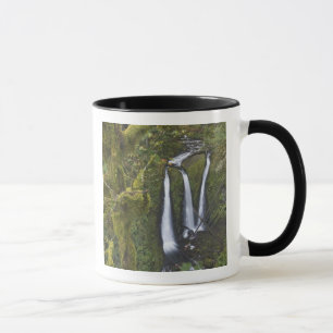 Triple Falls, Columbia River Gorge Tasse