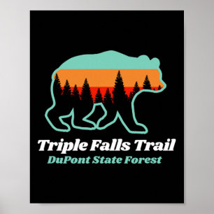 Triple Falls Trail Dupont Staat Forest Bear Souven Poster