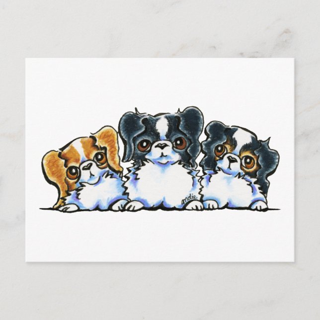 Triple Japanese Chin Postkarte (Vorderseite)
