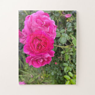 Triple Pink Roses Puzzle