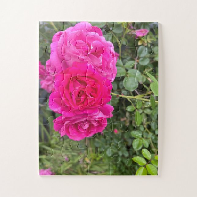 Triple Pink Roses Puzzle (Vertikal)