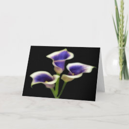 Triple Royal Lila Floral Grußkarten Karte