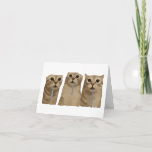 Triple Sabberndes Albernes Katzen Meme Dankeskarte