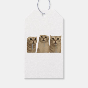 Triple Sabberndes Albernes Katzen Meme Geschenkanhänger