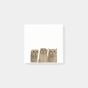 Triple Sabberndes Albernes Katzen Meme Post-it Klebezettel