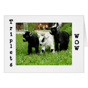 TRIPLETS=WOW=FANTASTIK