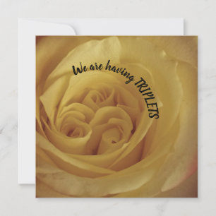 Triplets Yellow Rose Baby Ankündigung