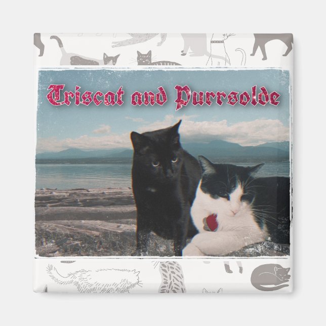 Triscat- und Purrsoldmagnet Magnet (Vorne)