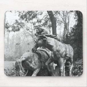 Triton, die herein zwei Pferde der Sonne pflegen Mousepad