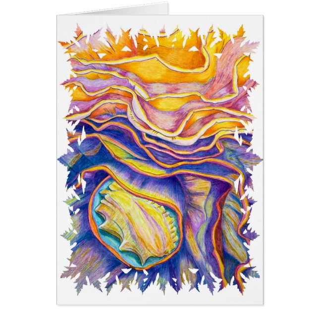 Tritonshorn-Muschel (Vorne)