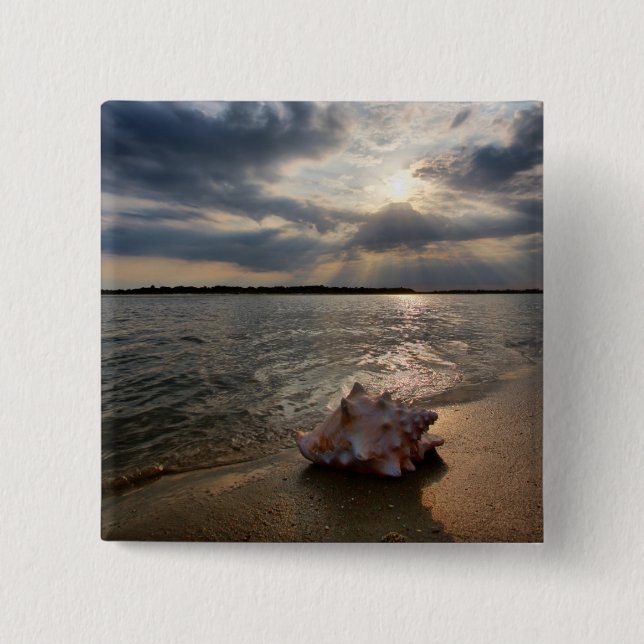 Tritonshorn-Muschel an Strand | St Augustine, Button (Vorderseite)