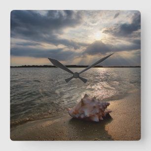 Tritonshorn-Muschel an Strand St Augustine, Quadratische Wanduhr