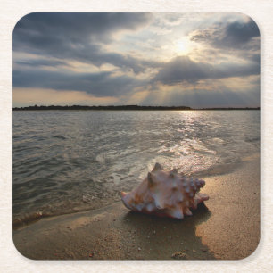 Tritonshorn-Muschel an Strand St Augustine, Rechteckiger Pappuntersetzer