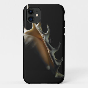 Tritonshorn-Muschel iPhone 11 Hülle