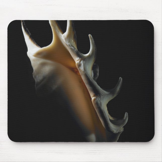 Tritonshorn-Muschel Mousepad (Vorne)