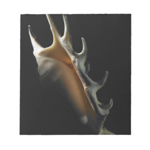 Tritonshorn-Muschel Notizblock