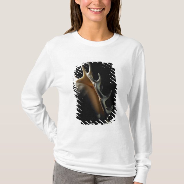 Tritonshorn-Muschel T-Shirt (Vorderseite)