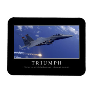 Triumph: InspirationsZitat 1 Magnet