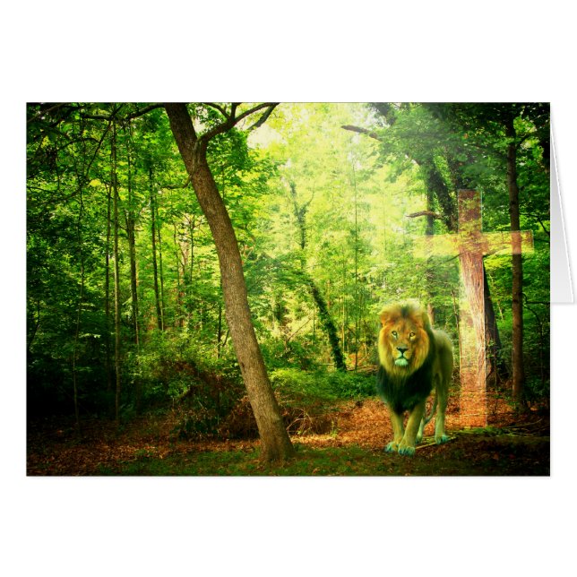 Triumphant King (Vorderseite (Horizontal))