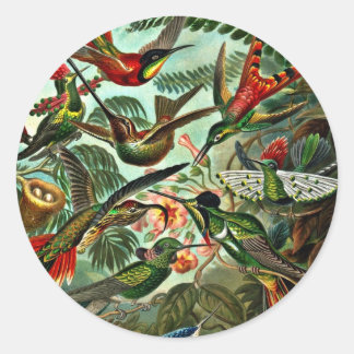 Trochilidae - Hummingbirds Runder Aufkleber