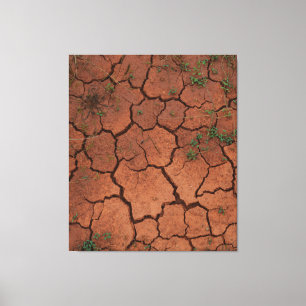 trocken, gebrochen leinwanddruck