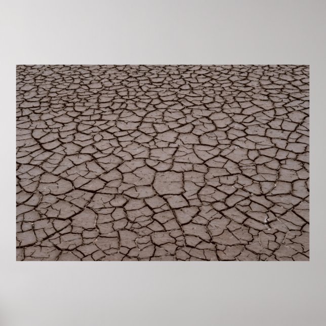 Trockenboden Poster (Vorne)
