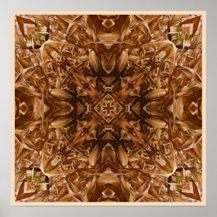 Trockene Mais-Hülsen abstrakte 16 Poster