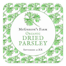 Trockene Petersilie Aquarellkunst, individuelles E