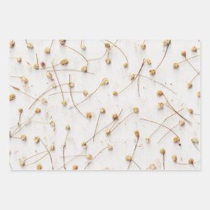 Trockene Pflanze für Hochzeiten und Geschenke Geschenkpapier Set