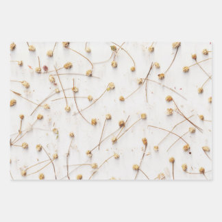 Trockene Pflanze für Hochzeiten und Geschenke Geschenkpapier Set