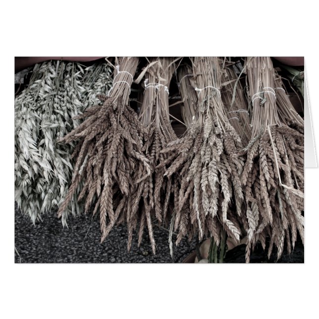 Trockene Pflanze zum Dekorieren (Vorderseite (Horizontal))