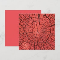 Trockener Baumstamm Ausschnitt Rosa-Rotes Holz Fot