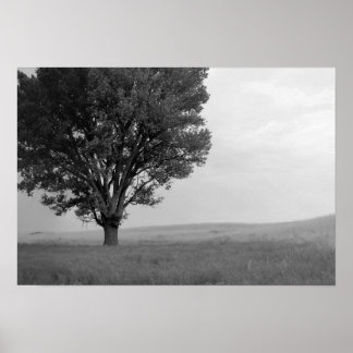 Trockener Sturm über Oklahoma Grasslands III (Ober Poster