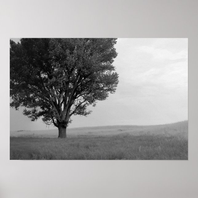 Trockener Sturm über Oklahoma Grasslands III (Ober Poster (Vorne)