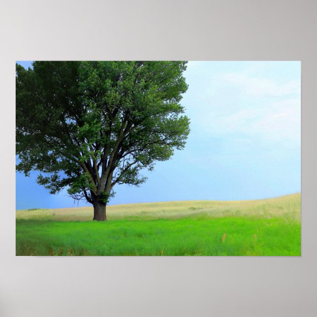 Trockener Sturm über Oklahoma Grasslands III (Ober Poster (Vorne)