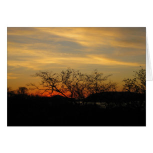 Trockener Waldsonnenuntergang