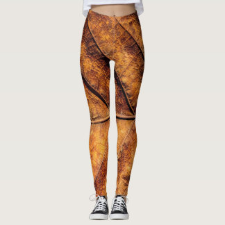 Trockenes Blatt: natürlicher Texturhintergrund. Leggings