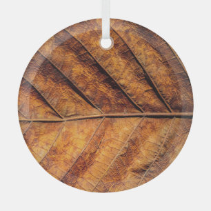 Trockenes Blatt: natürlicher Texturhintergrund. Ornament Aus Glas