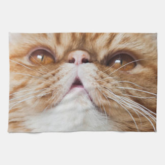 Trockenes DA-Geschirr! Geschirrtuch