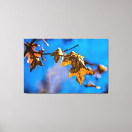 Trockenes Eichenblatt - Der Frühling ist noch weit Leinwanddruck