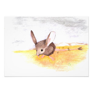 Trockenmouse Fotodruck