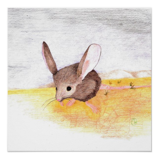 Trockenmouse Poster (Vorderseite)