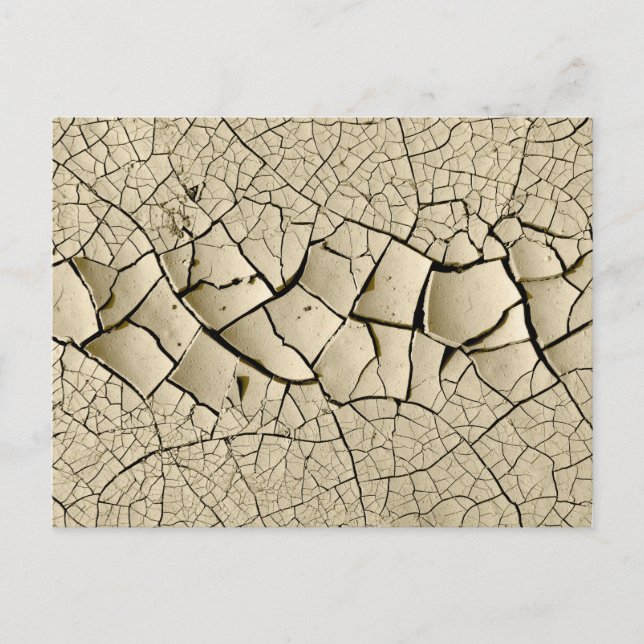 Trockenmud Postkarte (Vorderseite)