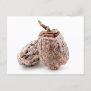 Trockenpersimmon Postkarte