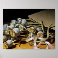 Trockenpoppy-Pods der Blume